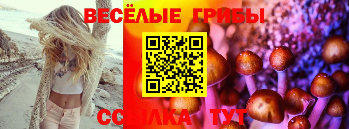 Галлюциногенные грибы мухоморы Курчалой
