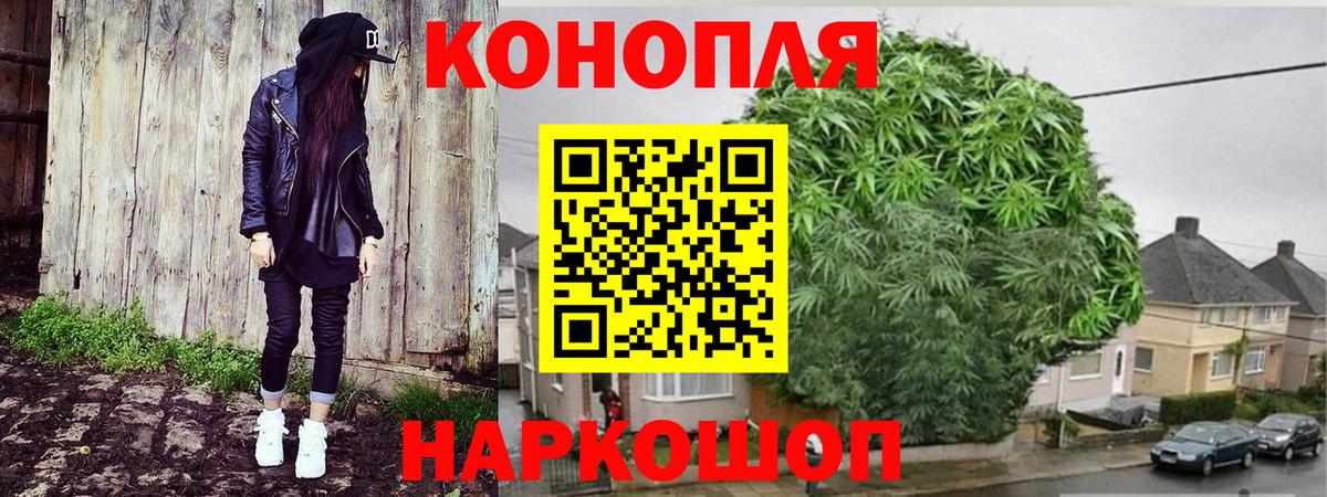 Шишки марихуана конопля  Вход с VPN  Марихуана Bruce Banner  Курчалой  Бошки Шишки AK-47 
